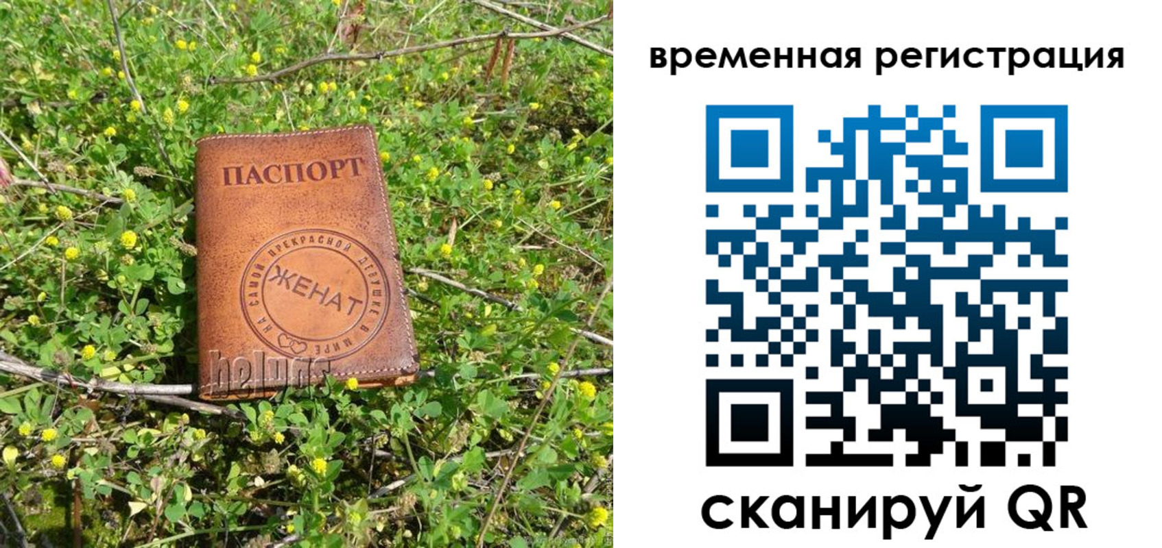 прописка регистрация в Шумерле